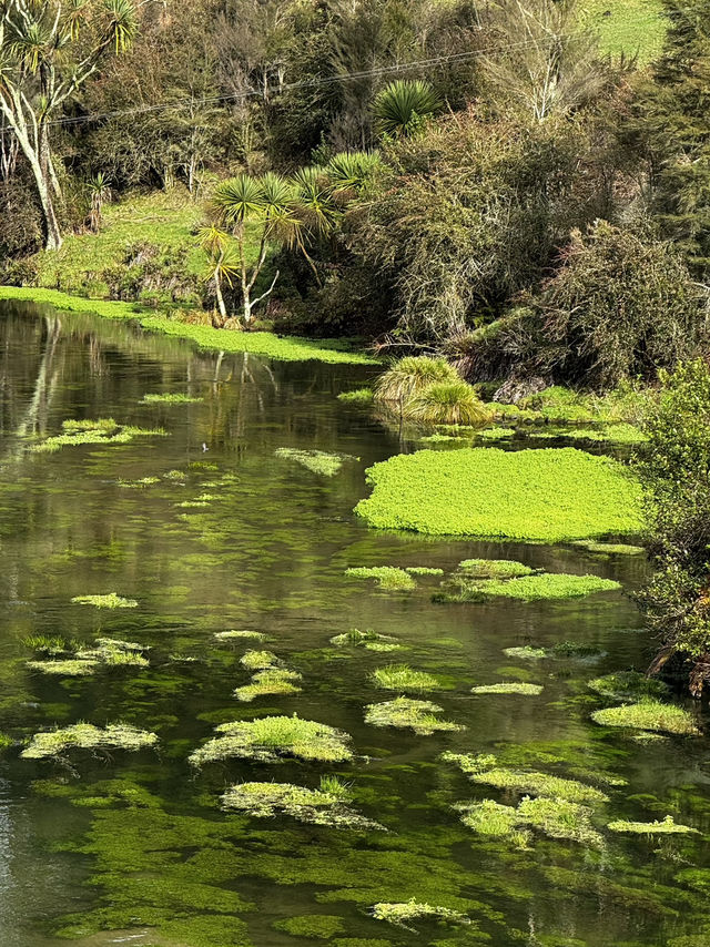Blue Springs, NZ