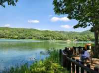 Yuldong Park Has It All