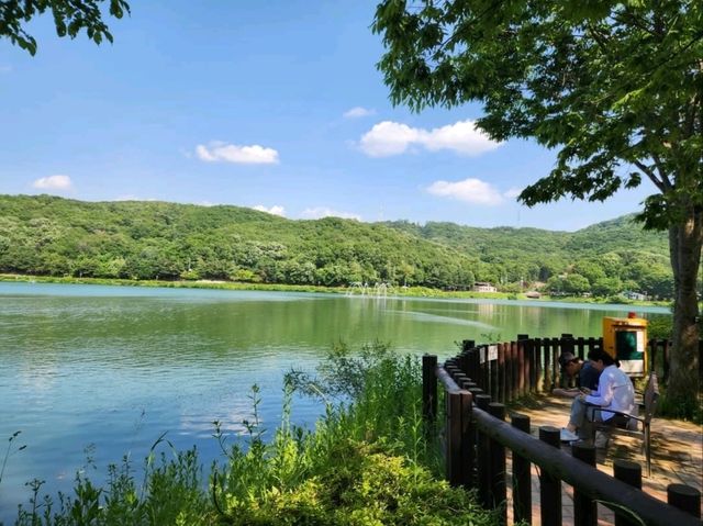 Yuldong Park Has It All