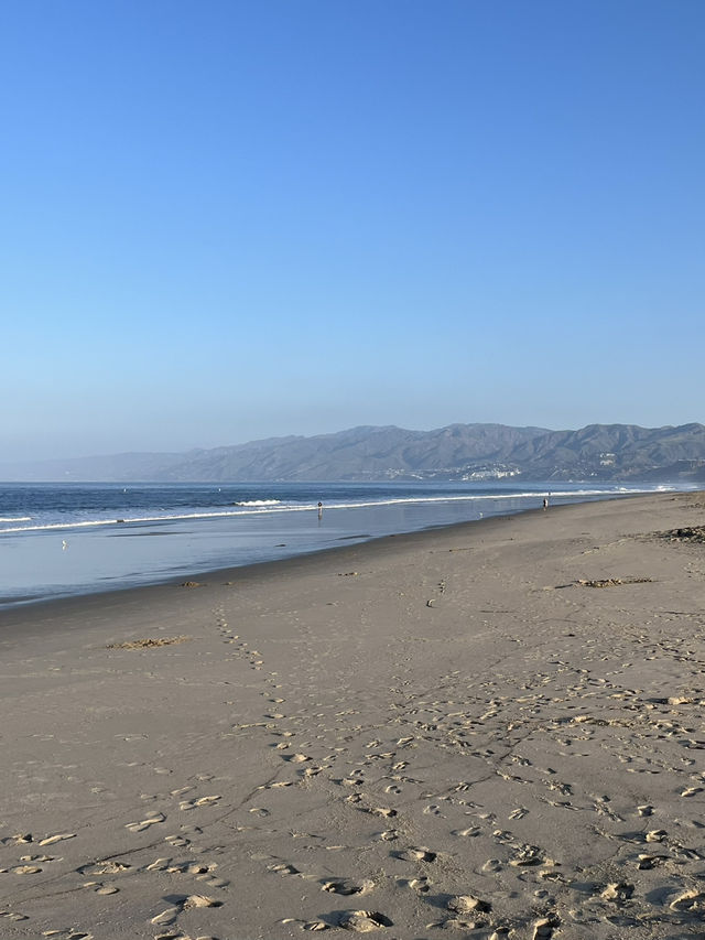 LA 랜드마크 산타모니카비치🌊