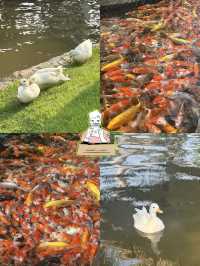 ป้าบุญคาเฟ่ 5 คาเฟ่ใหญ่เว่อร์