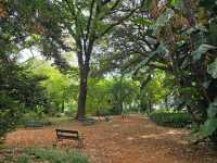 해외여행 부에노스아이레스 대규모 식물원 Jardín Botánico Carlos Thays