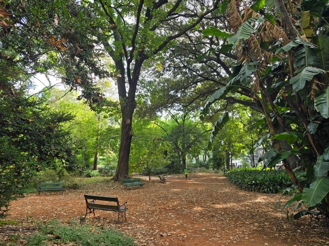 해외여행 부에노스아이레스 대규모 식물원 Jardín Botánico Carlos Thays