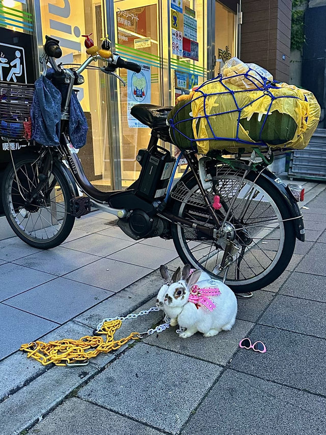 เที่ยวโอซาก้ากันเถอะ🇯🇵
