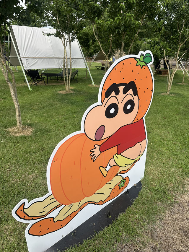 짱구 in JEJU🍊