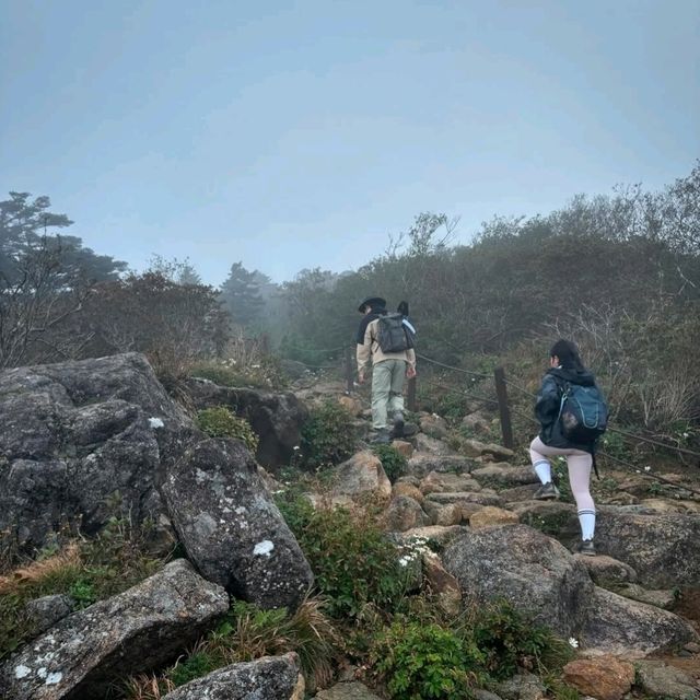 Jirisan Summit Was a Beast (But Worth It)