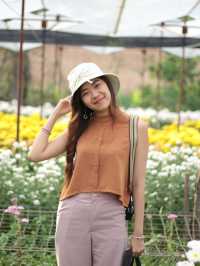 เที่ยวสวนบิ๊กเต้