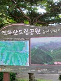 숲길 속 산책 추천 🌲