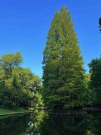 Forest Fun on the Cheap: My Visit to Gongqing Forest Park, Shanghai