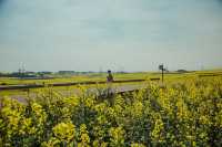 LUOPING IN SPRING 2025