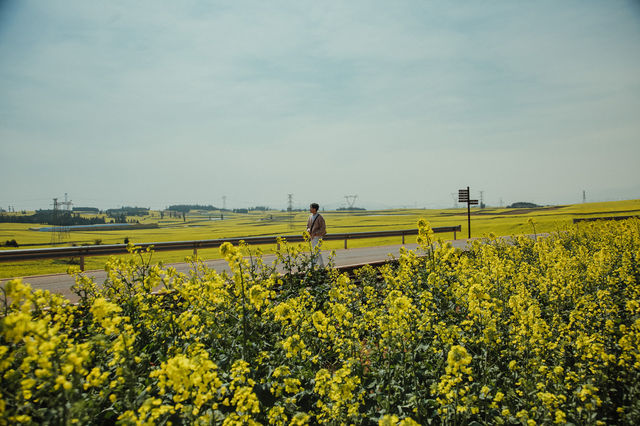 LUOPING IN SPRING 2025