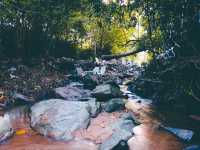 📍 The Hidden Falls ในสวนลับ