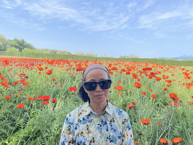 富良野富田農場：遇見·花海