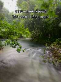 ที่พักติดลำธาร พังงา เขาหลัก