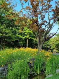 The Namsan Outdoor Botanical Garden