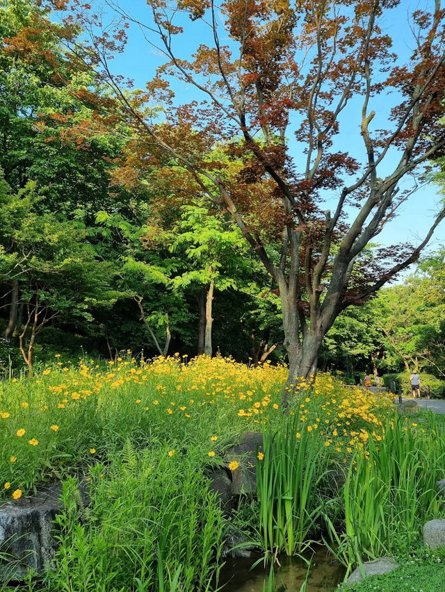 The Namsan Outdoor Botanical Garden