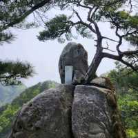 The summit of Mt. Obong