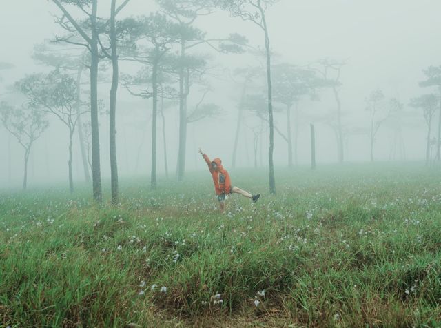 ดอกหงอนนาค นางเอกแห่งอุทยานแห่งชาติภูสอยดาว 