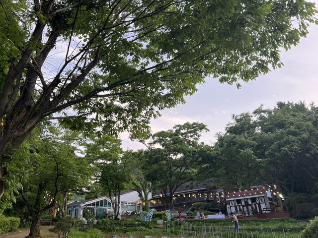 경기도 광주 한강변