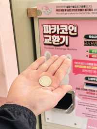  🦙 알파카월드 여행기  “귀여움 폭발! 알파카와 눈맞춤한 힐링 여행 코스”