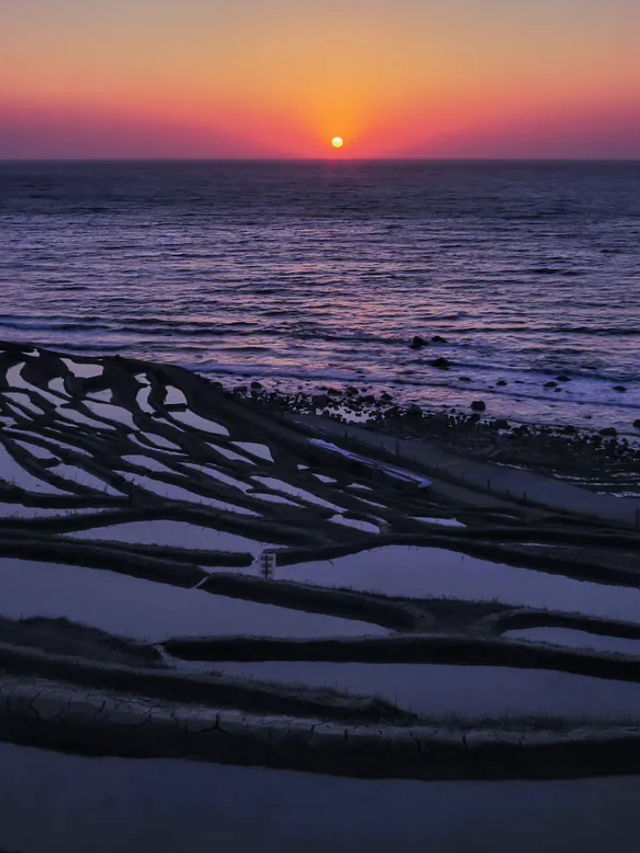 海に続く棚田の絶景🌾白米千枚田で心ほどける自然旅