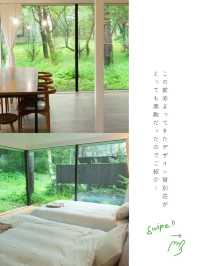 【軽井沢】＼まるで森の中／デザイン貸別荘🌿