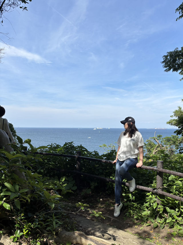 こんな景色が見れるなんて！日本の無人島と長谷寺あじさい