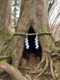 ⛩️長野・戸隠神社｜神秘の森に包まれた歴史あるパワースポット