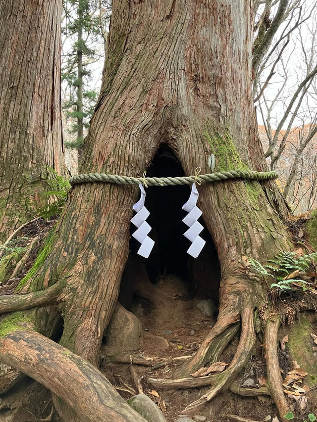 ⛩️長野・戸隠神社｜神秘の森に包まれた歴史あるパワースポット