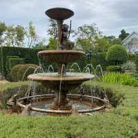 HLNG Cafe (หลง คาเฟ่) – คาเฟ่สวนอังกฤษสุดเพอร์เฟกต์