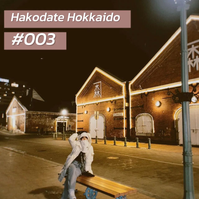 Travel Outfit • Hokkaido japan🇯🇵