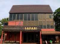 SAFARI Matcha Bar Khaoyai 