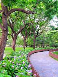 Fresh Park under Summer Heat