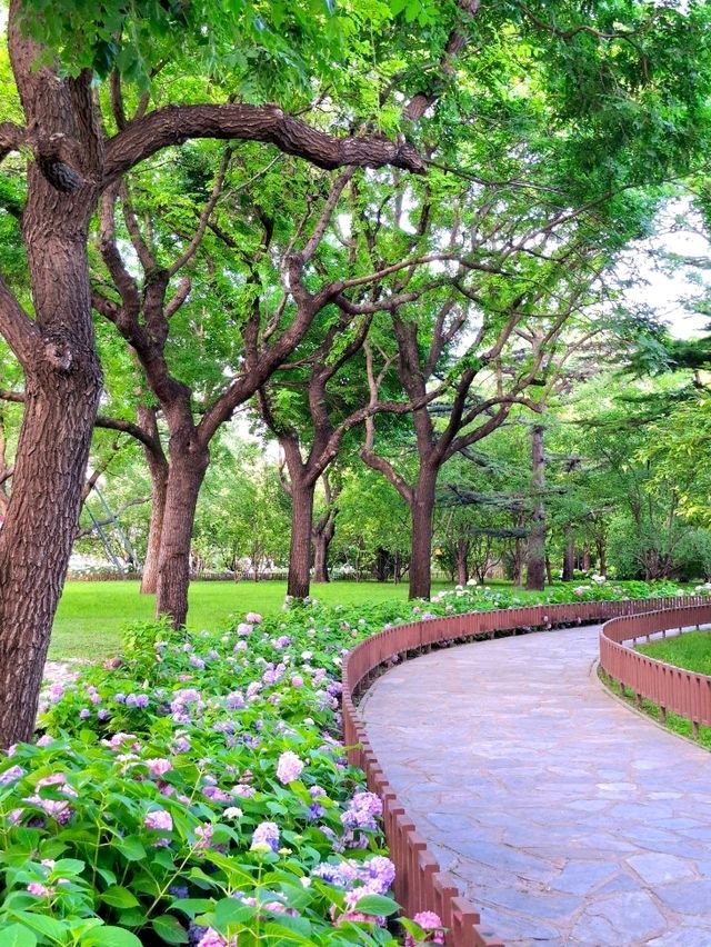 Fresh Park under Summer Heat