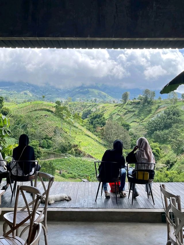 lembahmanah_kopi