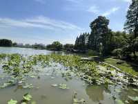 🌸 Exploring the Jiangnan Region – Nanjing, Wuxi, Suzhou & Shanghai in 6 Days!