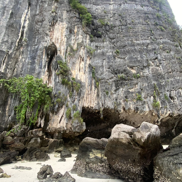 Phiphi