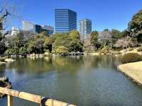 🌸城市中的綠色奇蹟！《新宿御苑》四季皆美的東京祕密花園，賞櫻、避暑、療癒心靈一次到位🍁🌿 