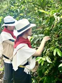Coffee, Cities, and Color 🇨🇴 – A Colombian Journey