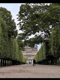 🖼️芸術の時空を旅する！オルセー美術館で印象派に浸る