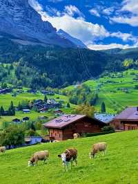 สวิตเซอร์แลนด์🇨🇭