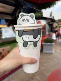 香港海洋公園🥰必睇新出世熊貓🐼回憶必坐纜車🚡