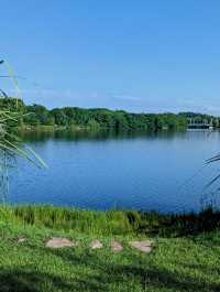 ～城市綠洲～千燈湖公園～