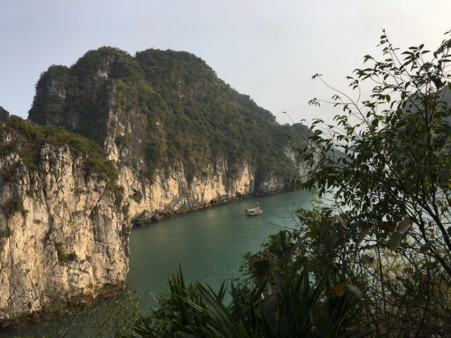 🚢🌿 Sailing Through a Dream: My Halong Bay Cruise Experience