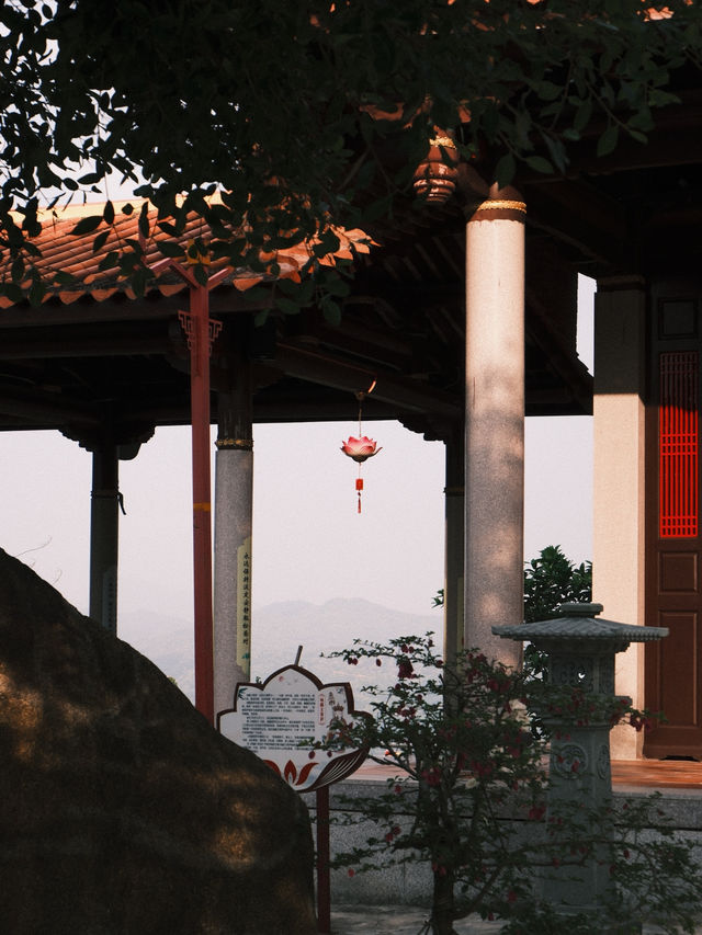 Between Islands and Incense — A Journey Through Xiamen & Quanzhou 🏝️🕯️