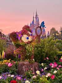 Childhood and Adults Dream– Shanghai Disneyland!