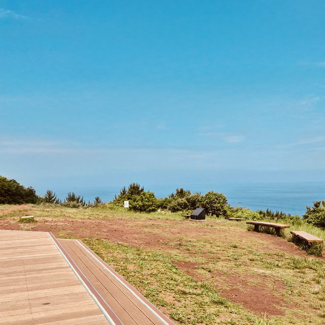 A Tranquil Local Escape Near the Airport