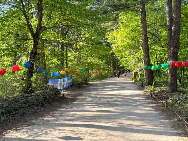 부안 당일치기 여행지로 딱인 내소사 🌳