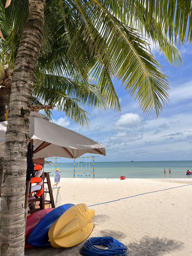 여름휴가로 딱인 베트남의 제주도!몰디브!🏖️푸꾸옥💚