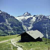 Alpine Freedom: A Solo Summer Adventure in the Bernese Oberland